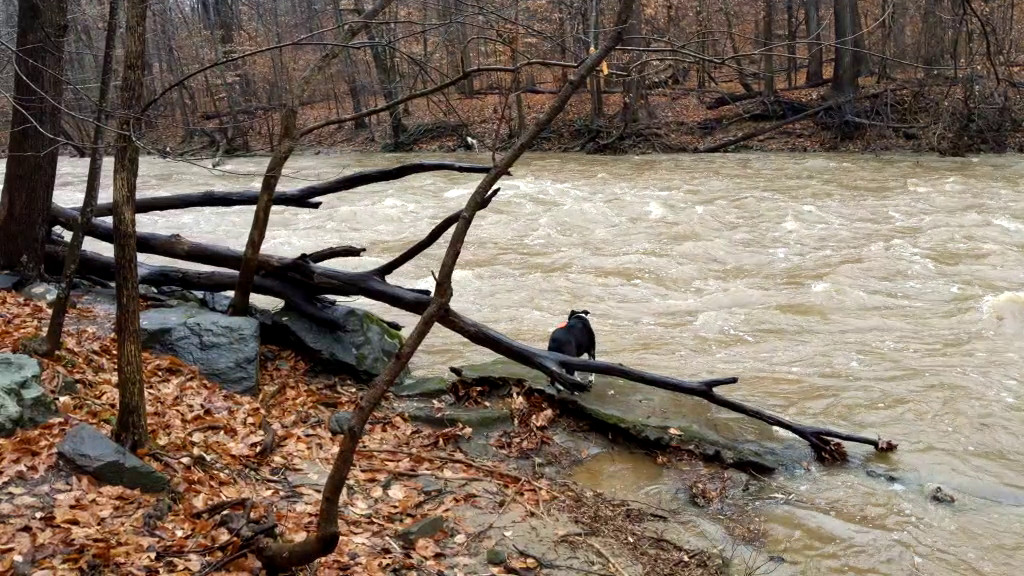 Raging River